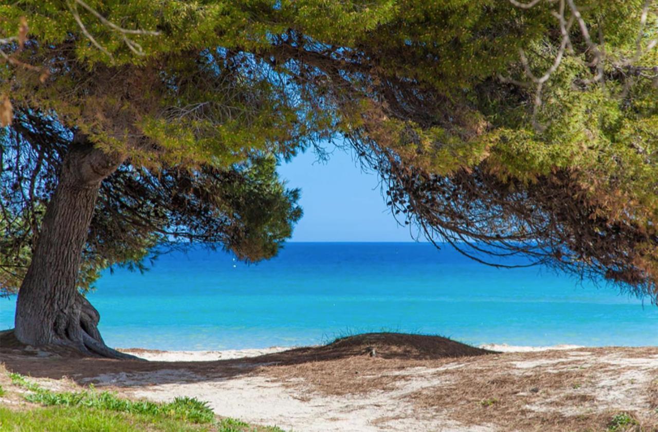 Countess Garden 3-1, Sun Of The Bay 1, At Alcudia (Mallorca)